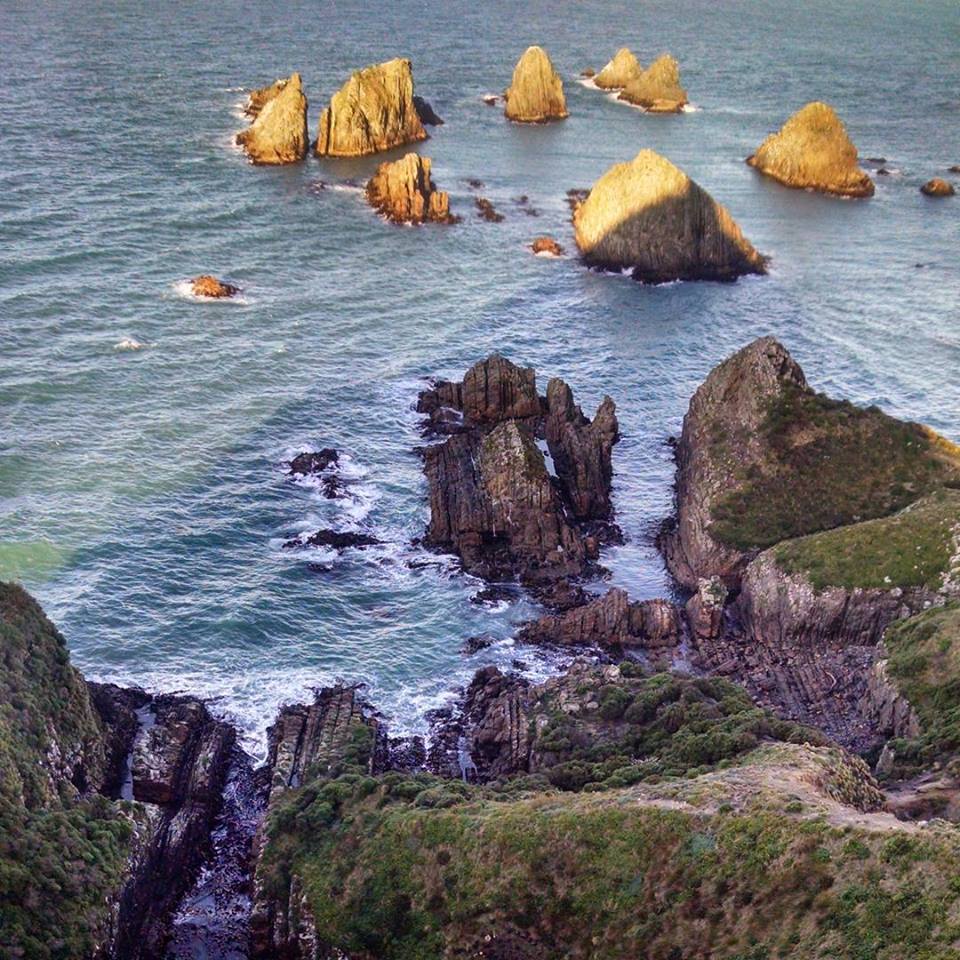Explore Nugget Point