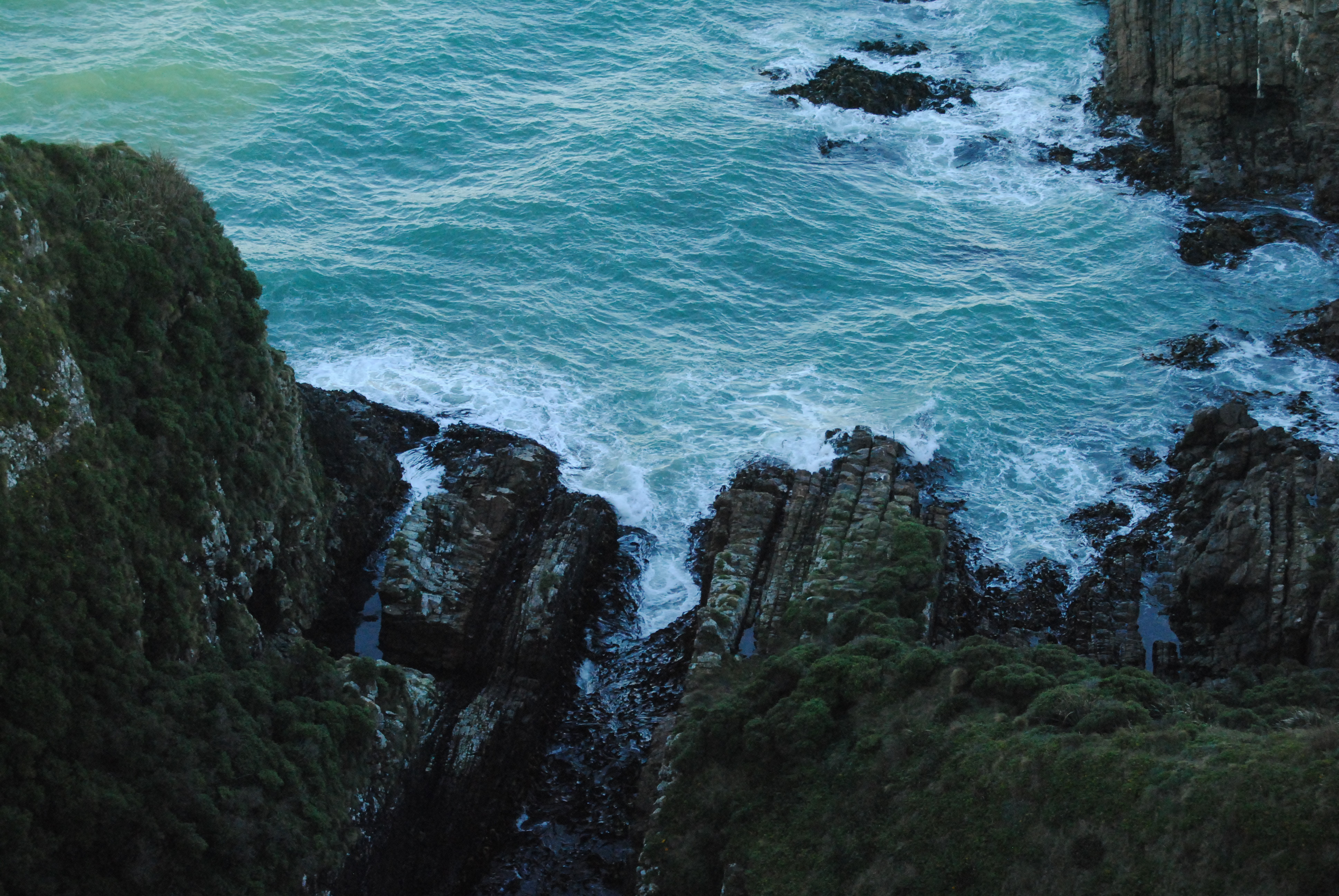 Explore Nugget Point