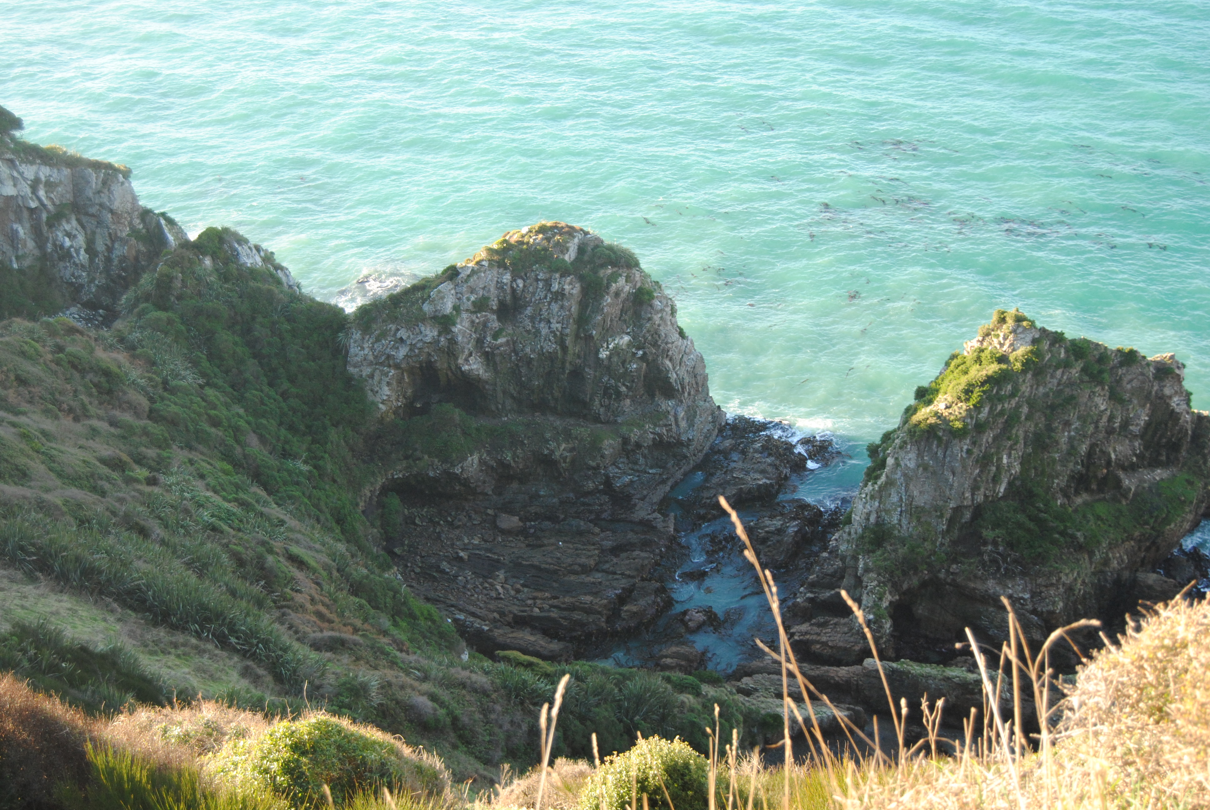 Explore Nugget Point