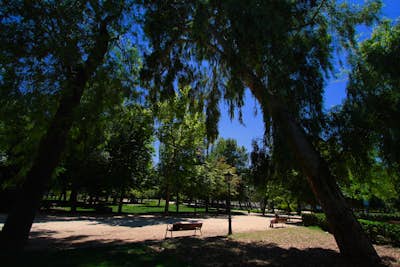 El Retiro Park