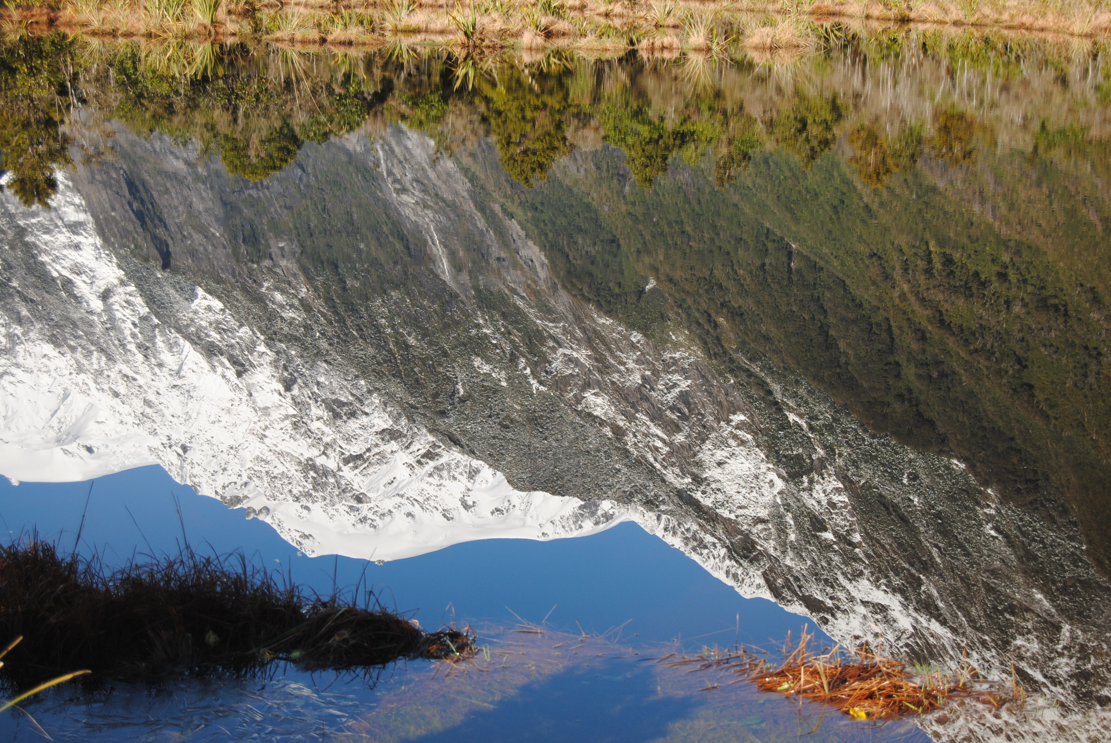 Explore Peter's Pool