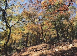 Hike the East Trail at Lost Maples