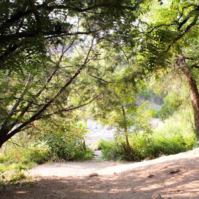 Hike to Spicewood Springs via Spicewood Canyon Trail