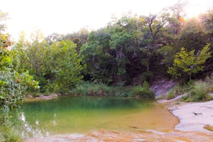 Hike to Spicewood Springs via Spicewood Canyon Trail