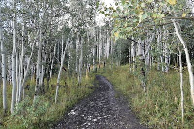 Hike Mt. Sopris via Thomas Lakes Trail