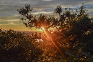 Hike Fishkill Ridge