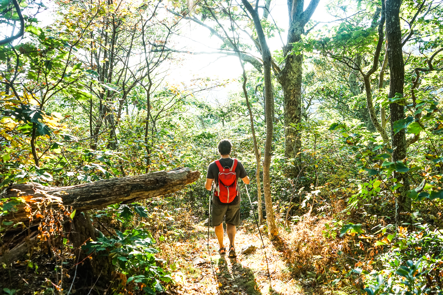 Hike to Bear Church Rock via Bootens Gap