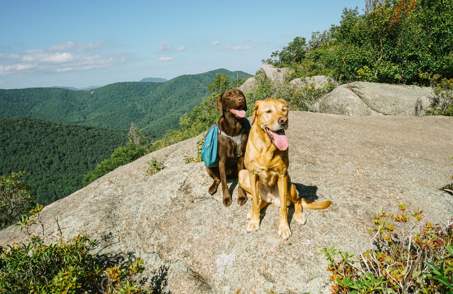 Hike to Bear Church Rock via Bootens Gap