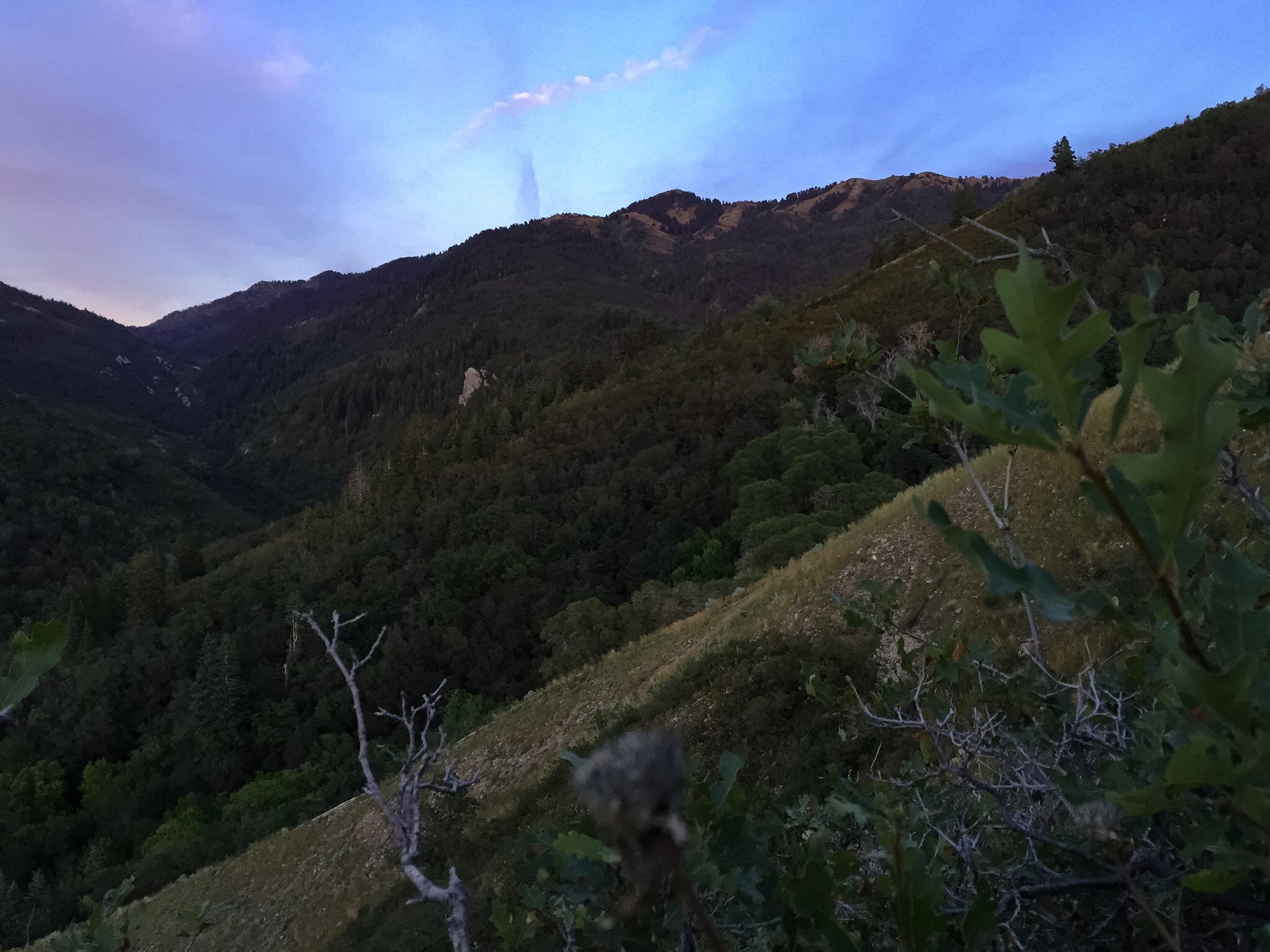 Trail Run to Elephant Rock