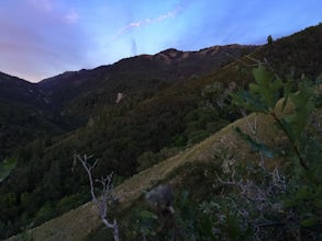 Trail Run to Elephant Rock