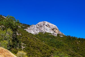 Hike Moro Rock