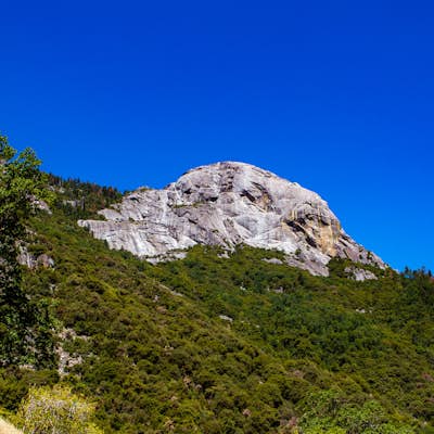 Hike Moro Rock