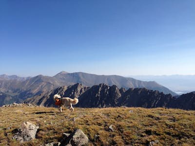 La Plata Peak (14,360 ft)