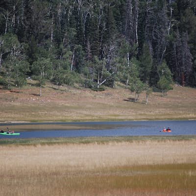 Camping at Navajo Lake