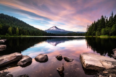 Photograph Trillium Lake, Trillium Lake Picnic Grounds