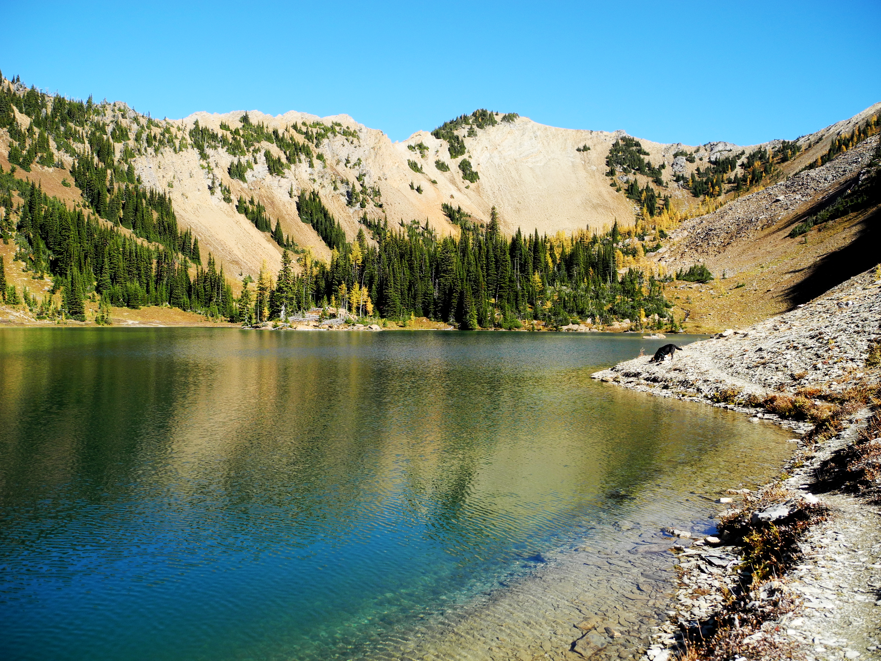 The Best Hiking In And Near Kimberley, British Columbia