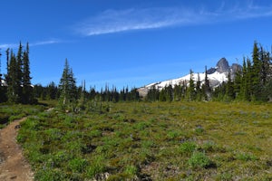 Hike the Cinder Flats in Garibaldi Park