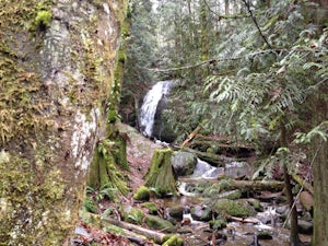 Coal Creek Falls via Red Town Trailhead