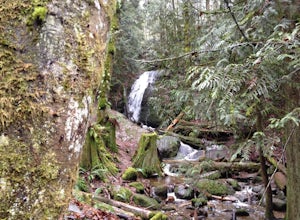 Hike to Coal Creek Falls