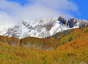 Drive Kebler Pass for Fall Colors