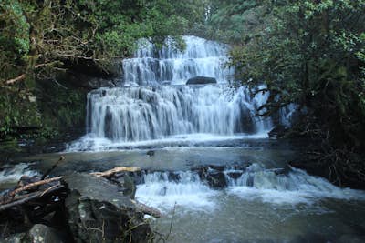 Short Walk to Purakaunui Falls 