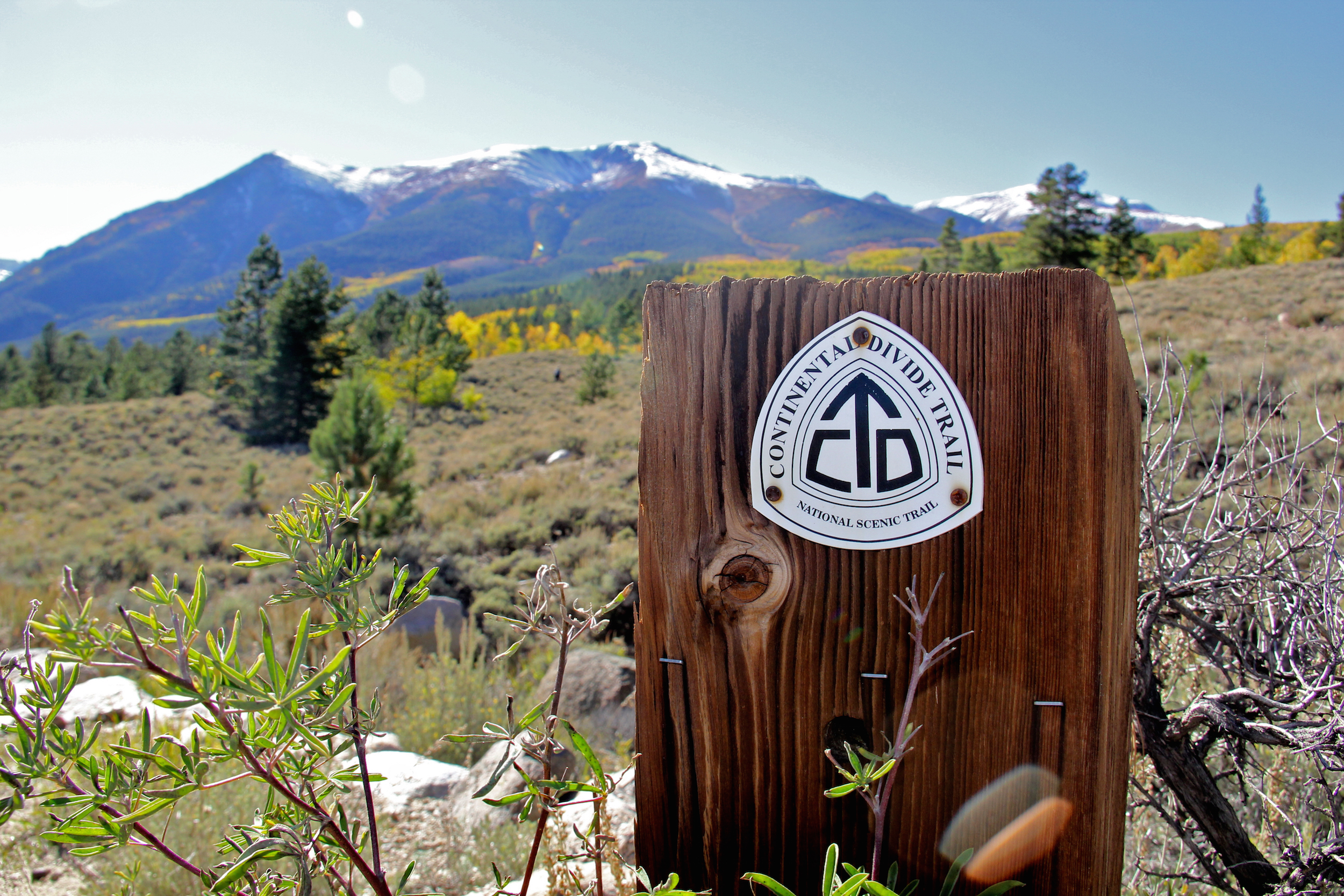 Mountain Bike the Colorado Trail near Mount Elbert