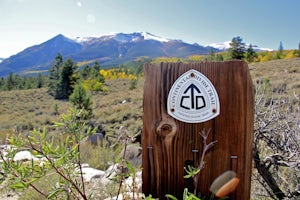 Mountain Bike the Colorado Trail near Mount Elbert