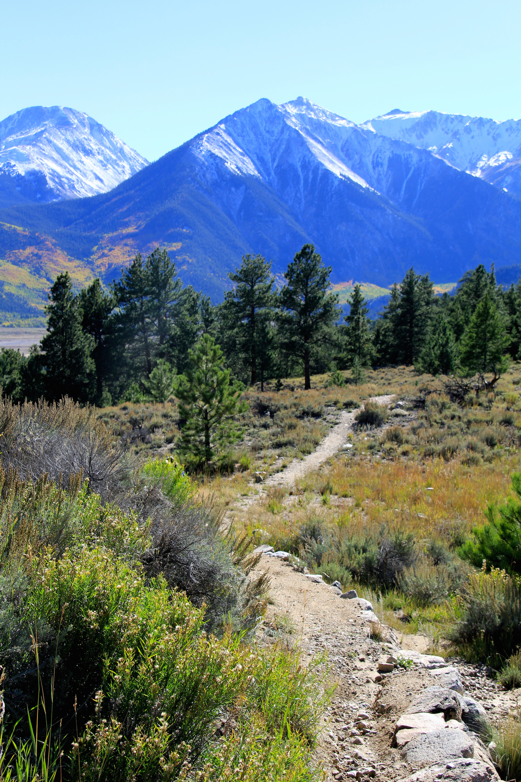 Mountain Bike the Colorado Trail near Mount Elbert