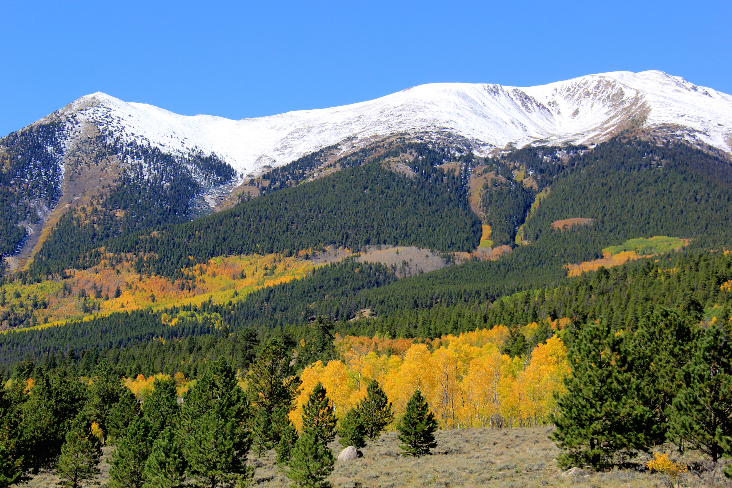 Mountain Bike the Colorado Trail near Mount Elbert