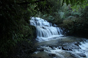 Short Walk to Purakaunui Falls 