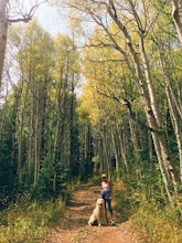 Hike to Green Mountain Falls 