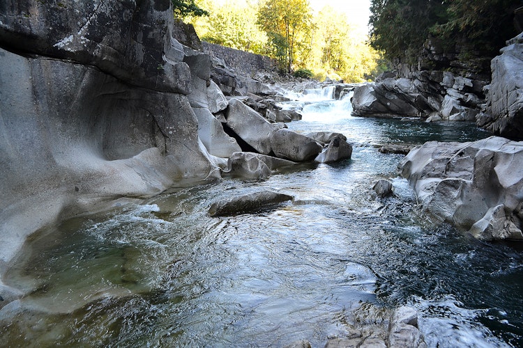 Swim at Eagle Falls , Washington
