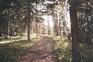 Hike to Golden Trout Lakes