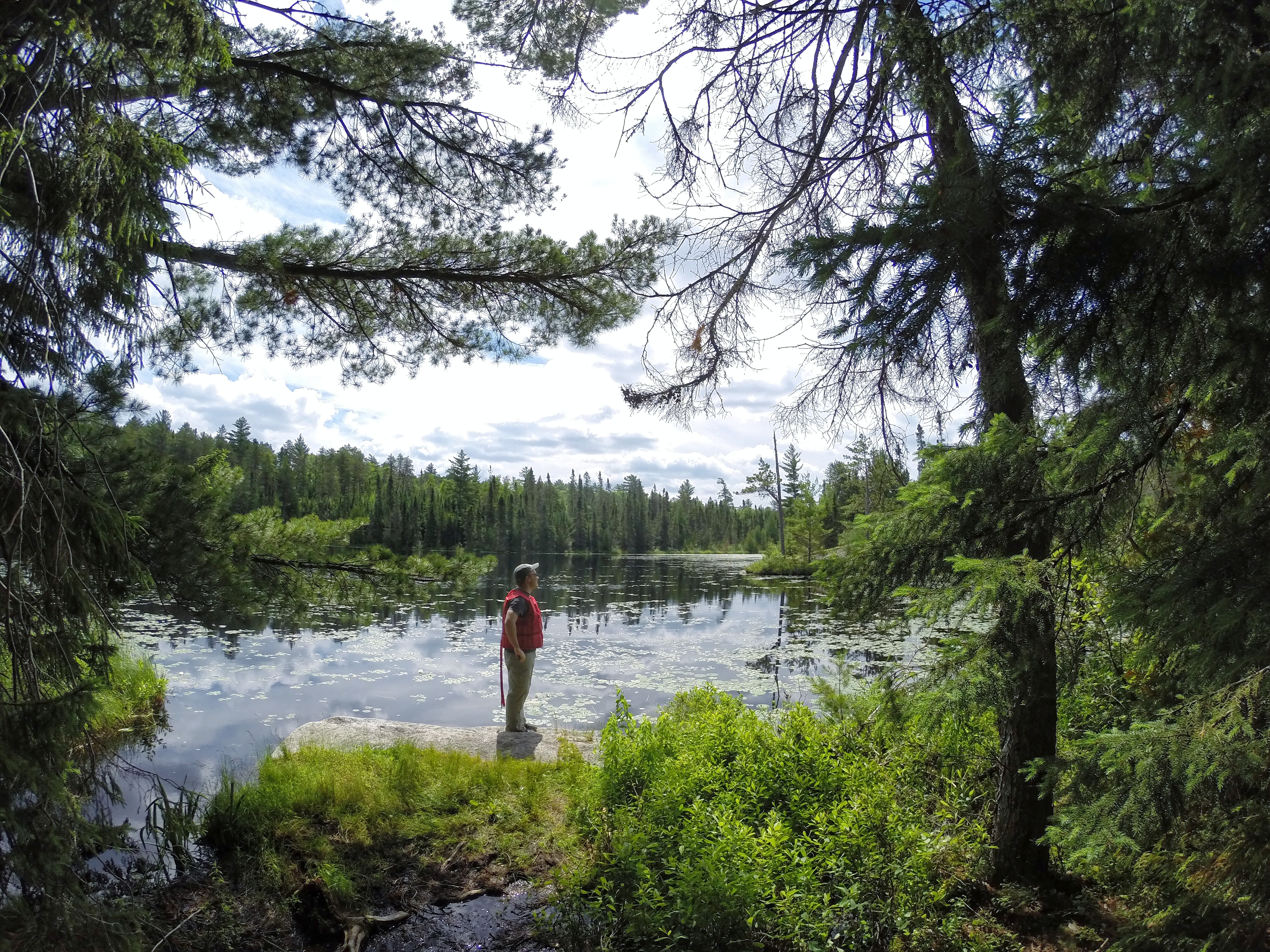 Explore Rifle Lake in the BWCA