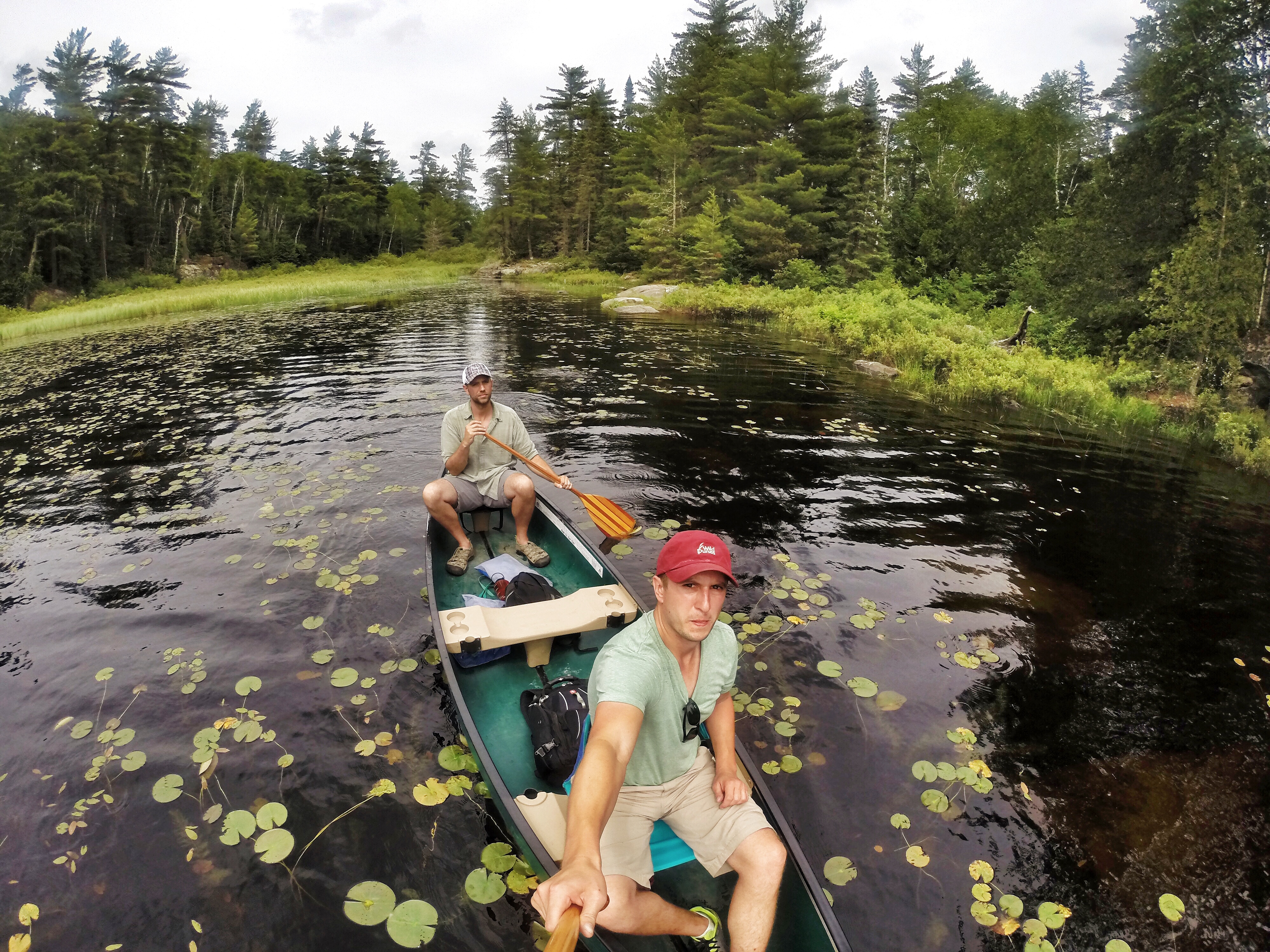 Explore Rifle Lake in the BWCA