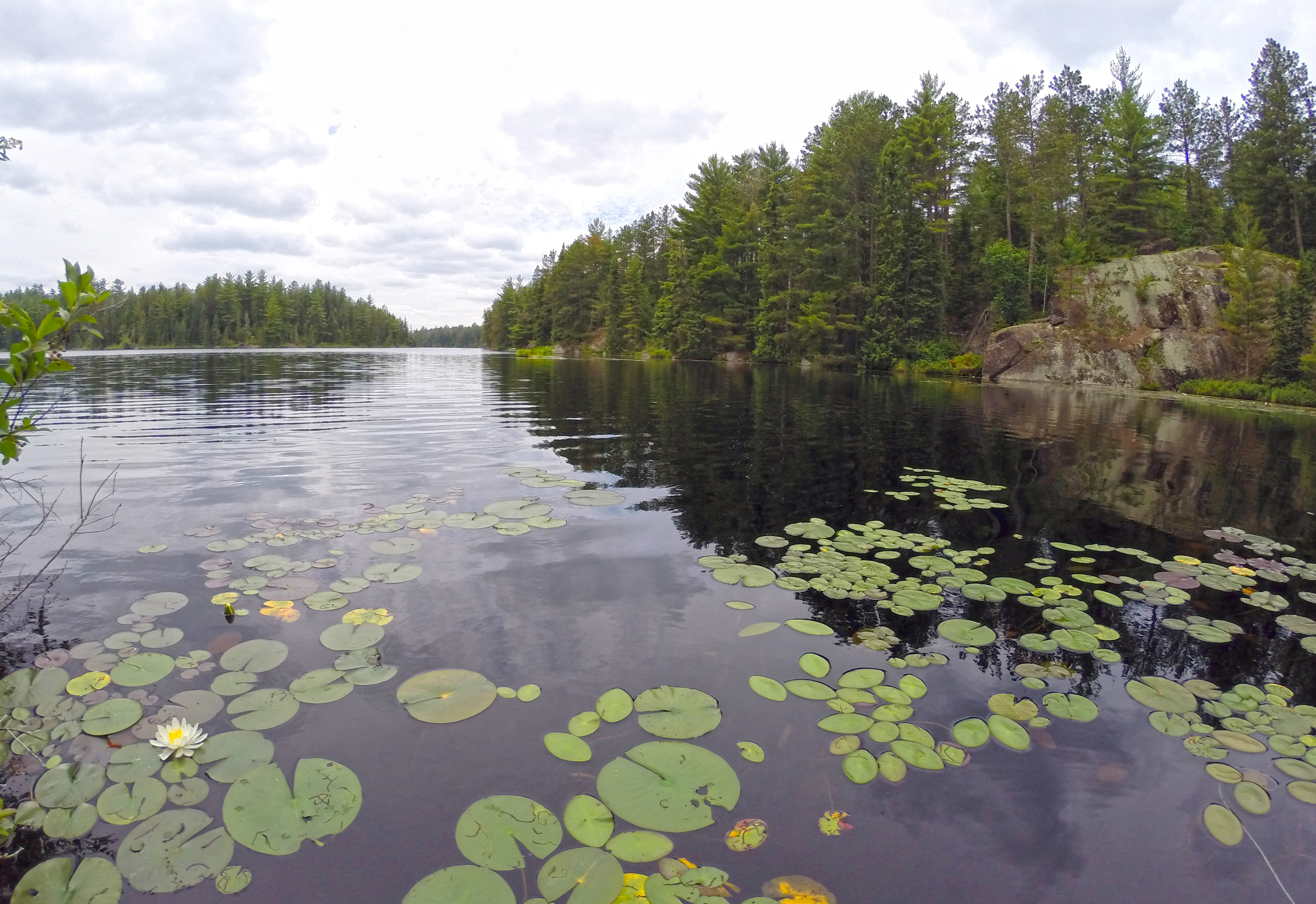 Explore Rifle Lake in the BWCA