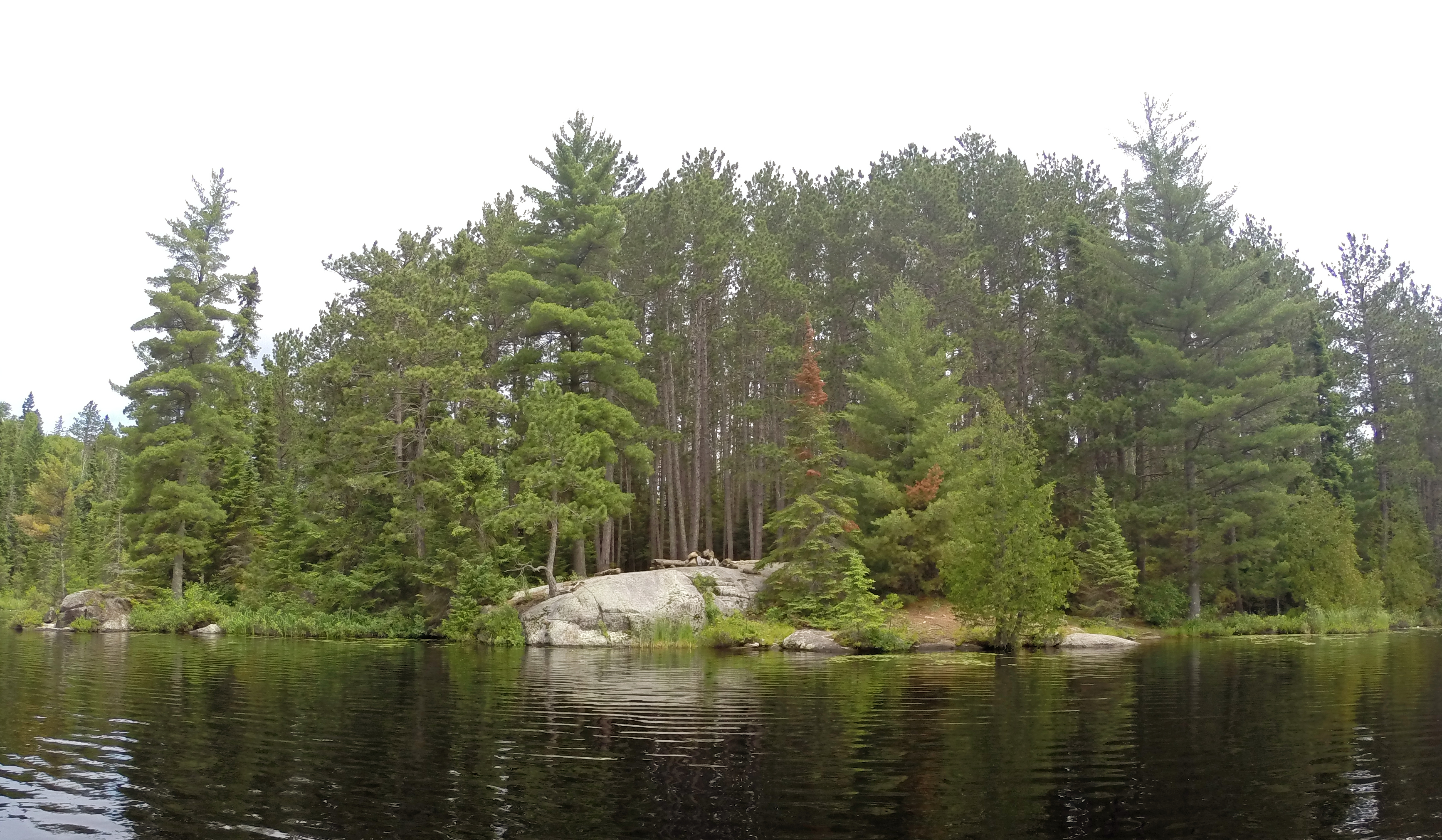 Explore Rifle Lake in the BWCA