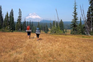 Camp at Elk Meadows