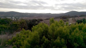 Hike Miner's Ridge Loop Trail to Black Mountain Peak