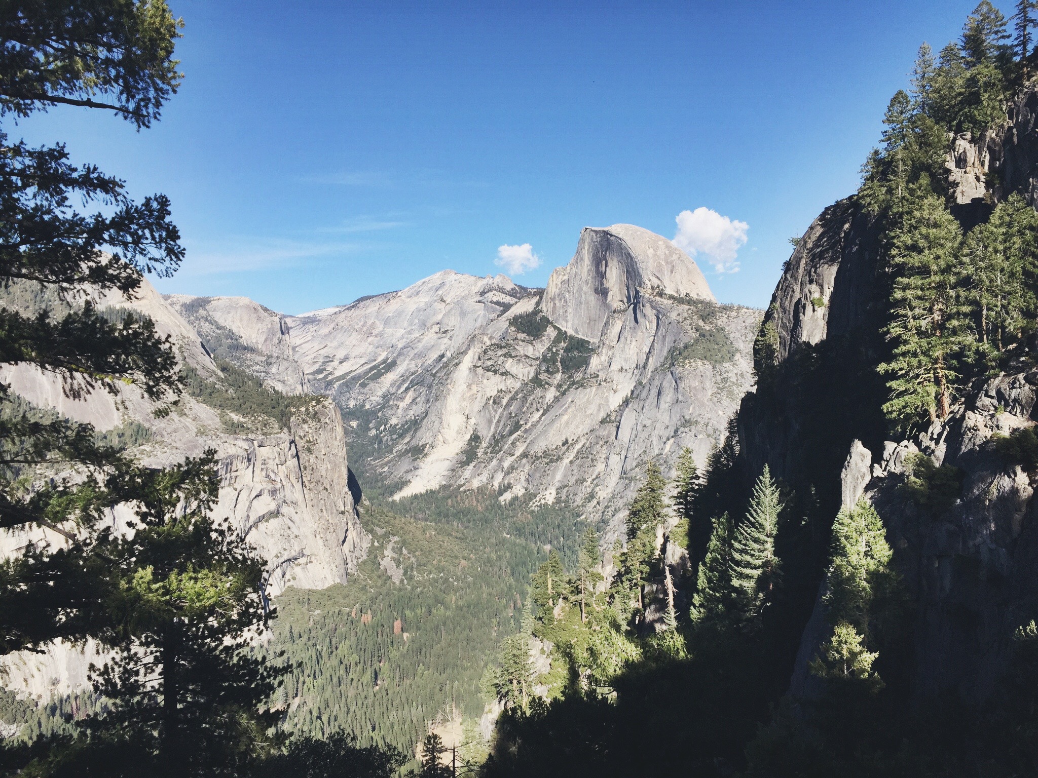 Camp at Glacier Point