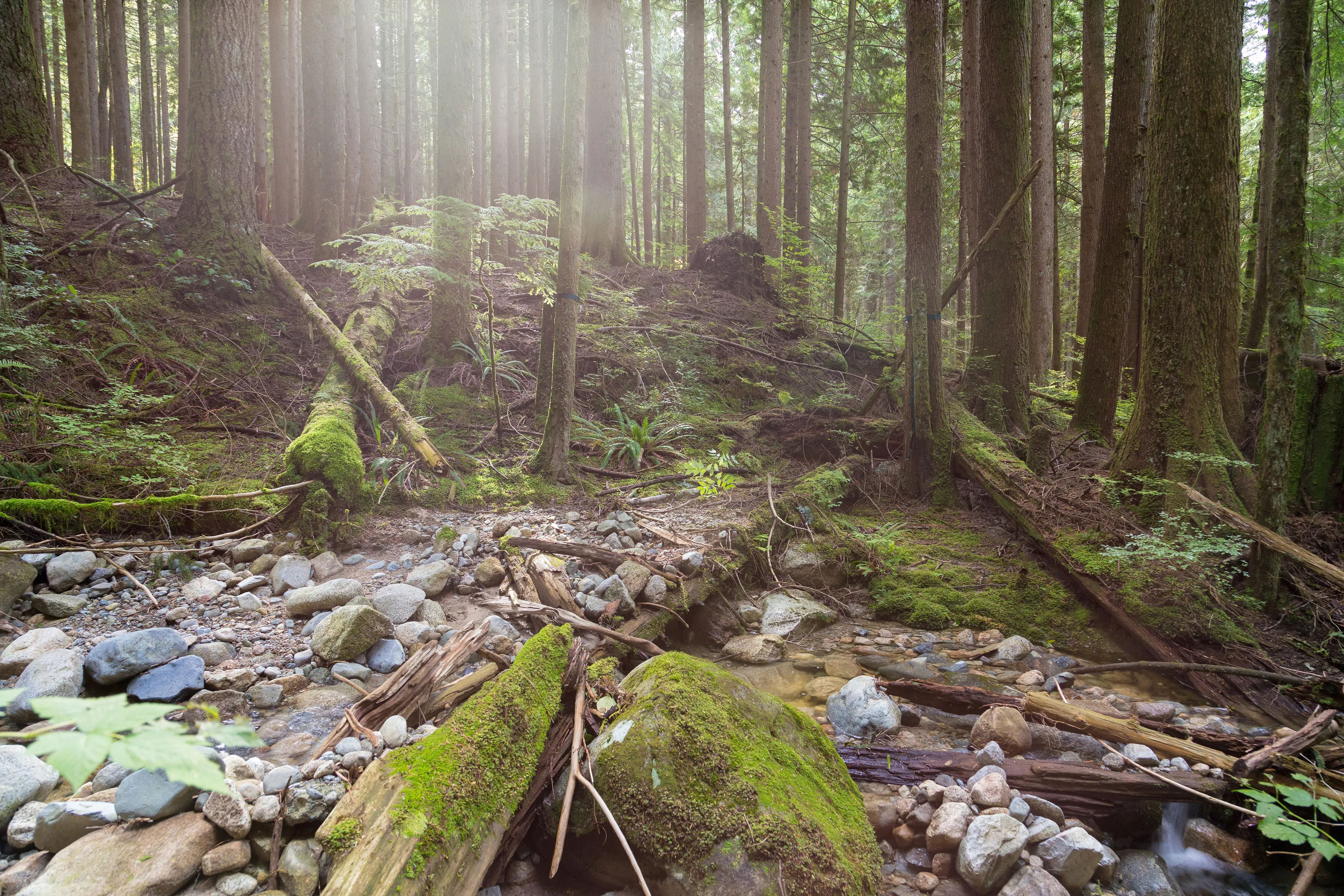 Hike to Woodland Falls