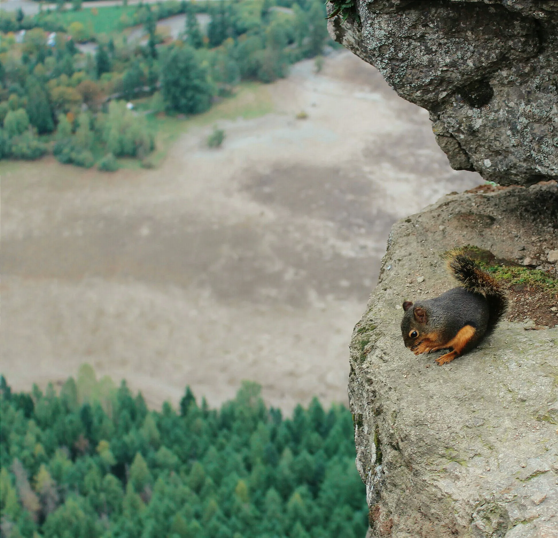 Rattlesnake Ledge