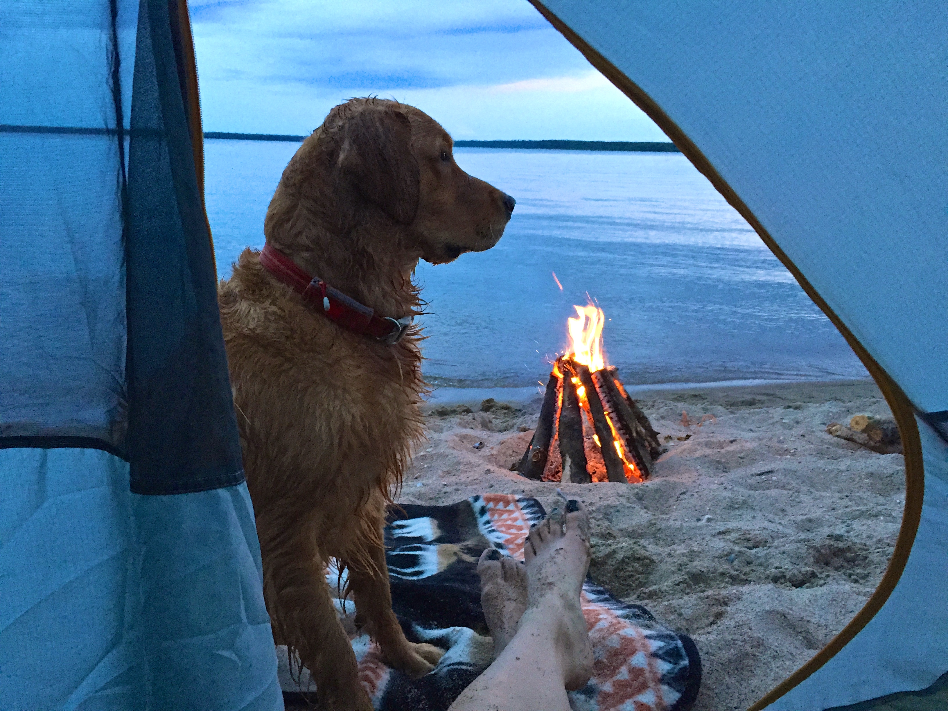 Star Island, Cass Lake, Minnesota