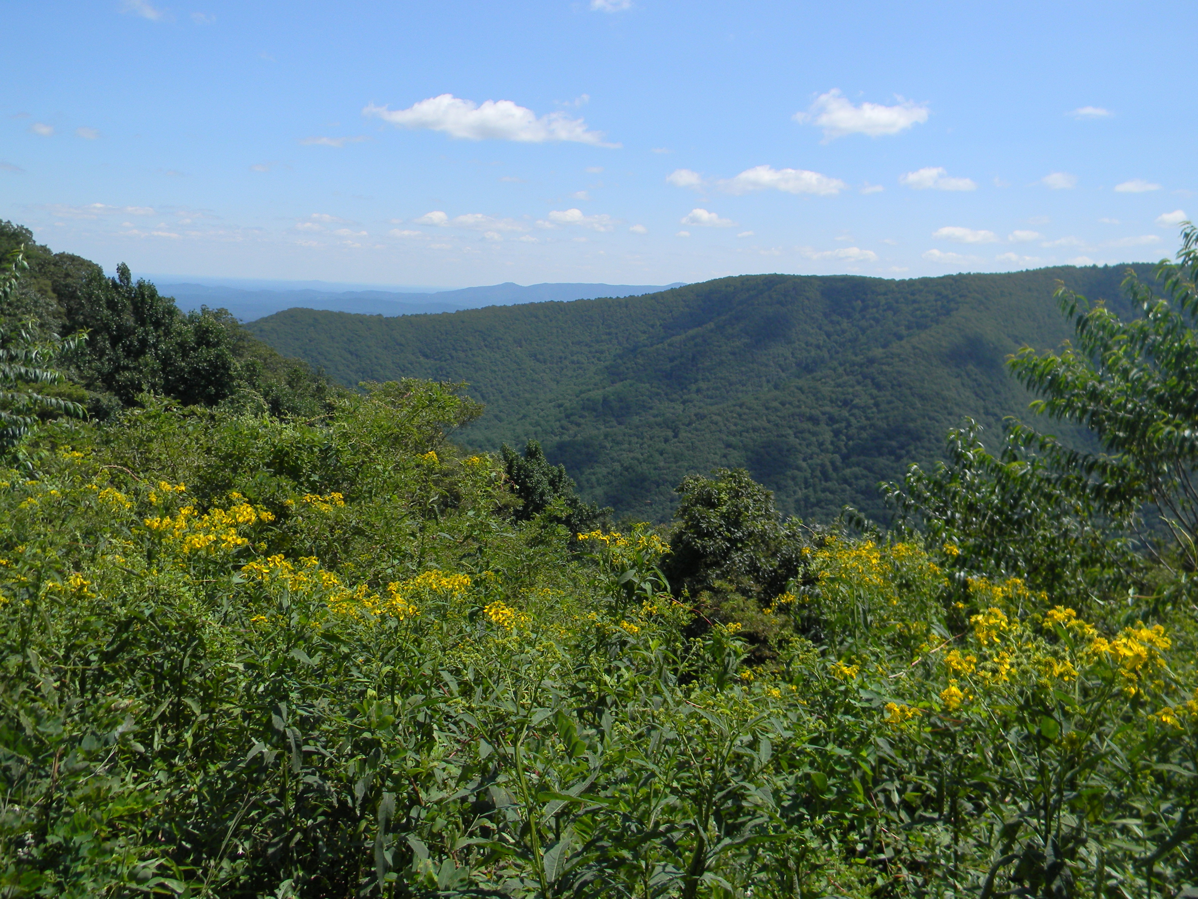 Hike Rock Castle Gorge