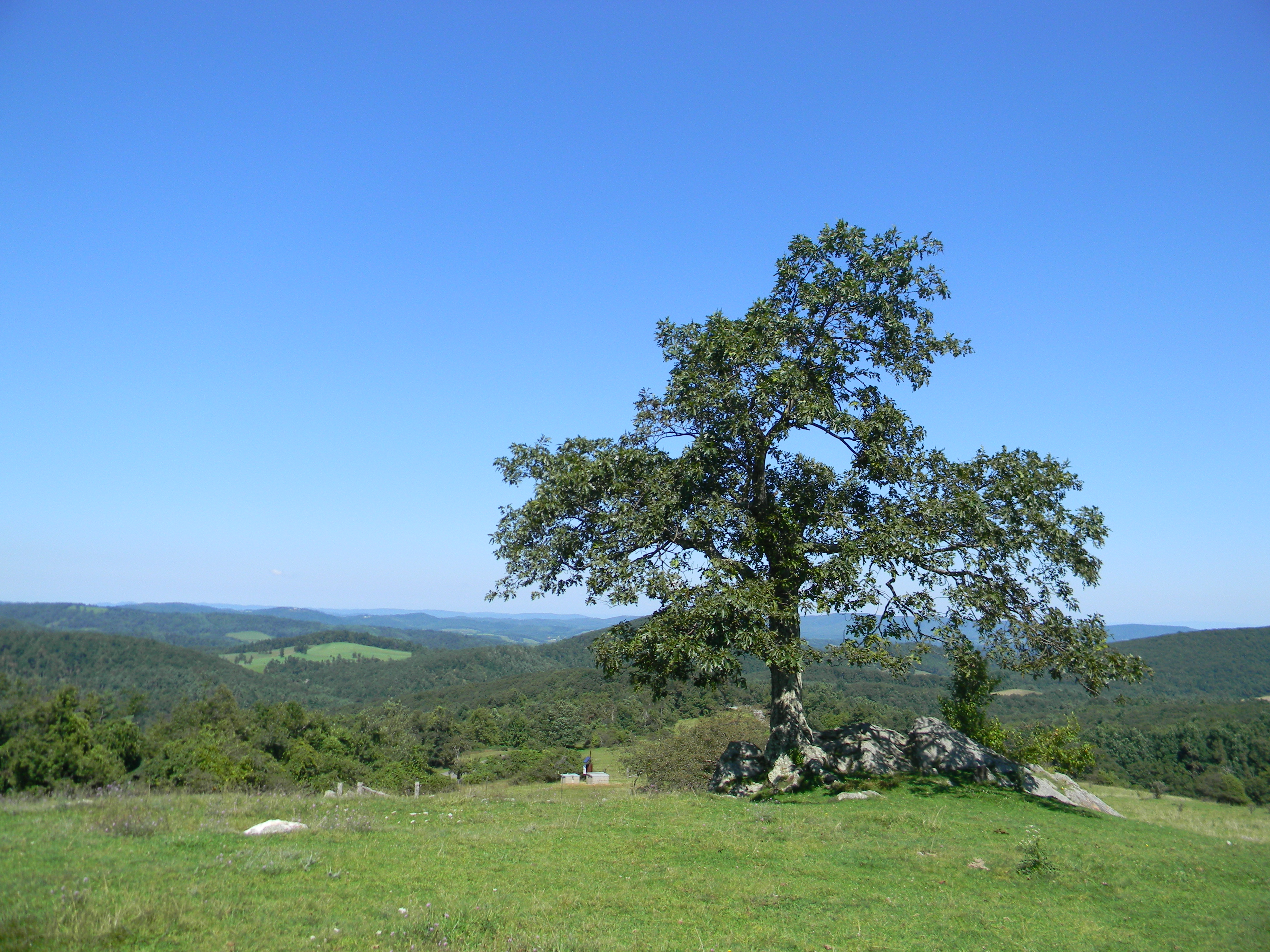 Hike Rock Castle Gorge