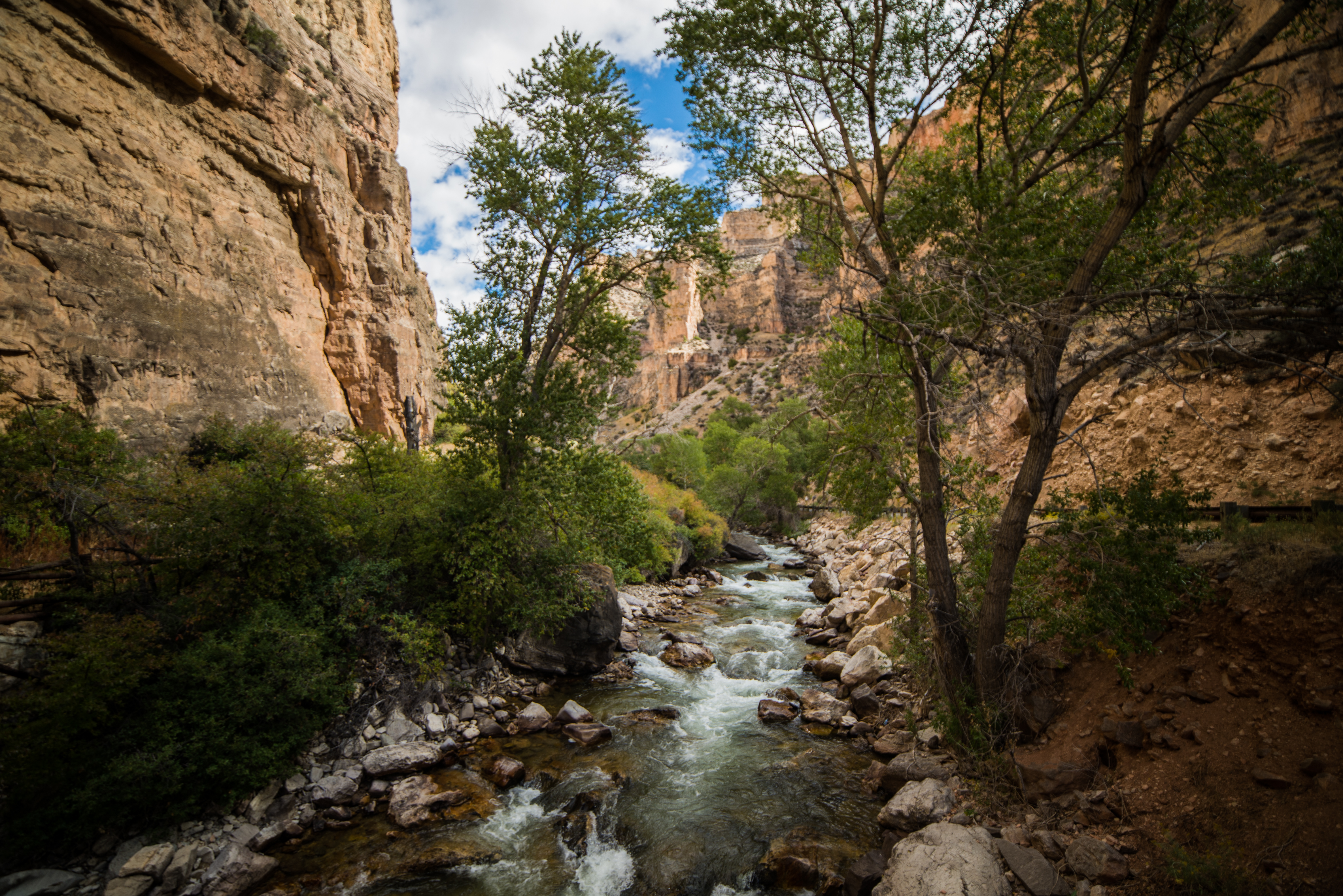Explore Shell Canyon