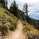 Hike the Garfield Peak Trail