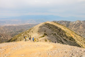 Hike Mt. San Antonio (Mt. Baldy) via the Ski Hut Trail