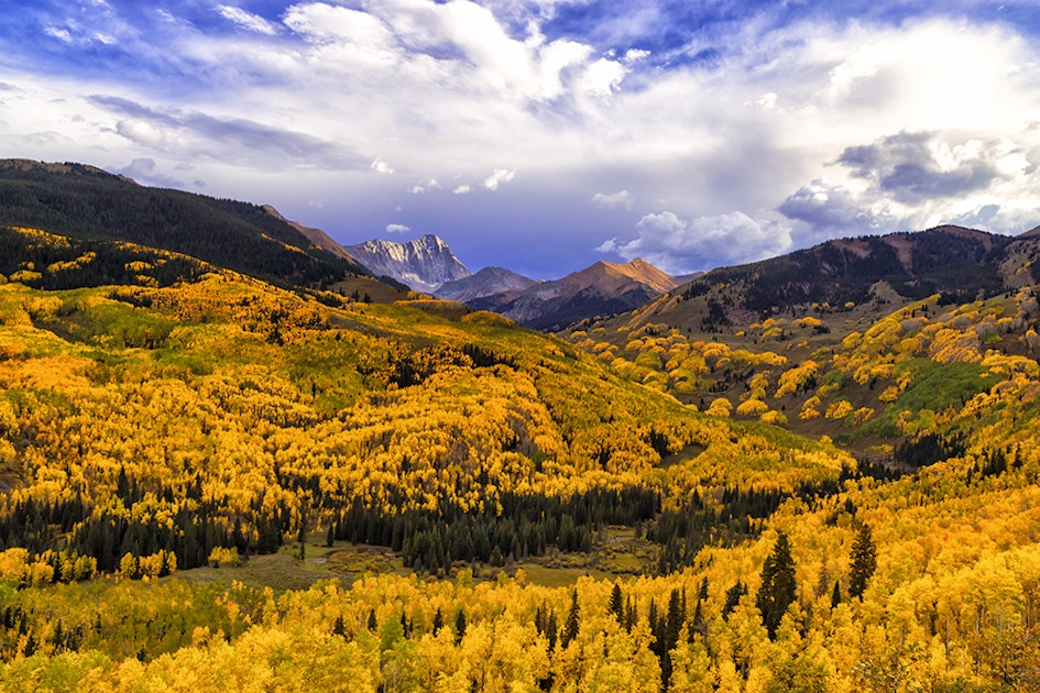 The Top 10 Places For Fall Leaves In Colorado