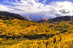 The Top 10 Places For Fall Leaves In Colorado